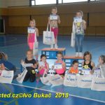 Vydařená premiéra soutěžního aerobiku Master Class v Milevsku. Čtyři medaile zůstaly doma!