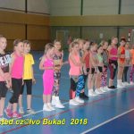 Vydařená premiéra soutěžního aerobiku Master Class v Milevsku. Čtyři medaile zůstaly doma!