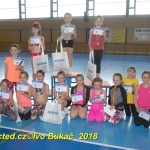 Vydařená premiéra soutěžního aerobiku Master Class v Milevsku. Čtyři medaile zůstaly doma!