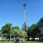 Ve Veselí vztyčili májku téměř zapomenutým způsobem – pomocí křížů