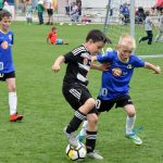 Memoriál Martina Breibische ovládla červenobílá
