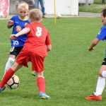 Memoriál Martina Breibische ovládla červenobílá