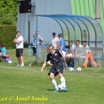 Sedmibrankovou přestřelku mezi Planou a Veselím rozetnul Petr Daněk