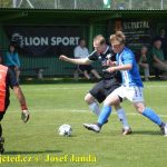 Sedmibrankovou přestřelku mezi Planou a Veselím rozetnul Petr Daněk