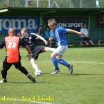 Sedmibrankovou přestřelku mezi Planou a Veselím rozetnul Petr Daněk