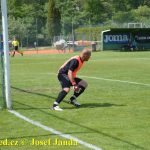 Sedmibrankovou přestřelku mezi Planou a Veselím rozetnul Petr Daněk