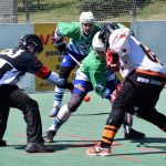 Švantlák neodvrátil mečbol a v play off končí