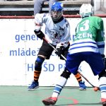 Švantlák neodvrátil mečbol a v play off končí