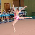 Milevský pohárek završil čtvrtstoletí. Šest medailí zůstalo doma