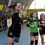 Házenkářky Písku se s fanoušky loučily prohrou