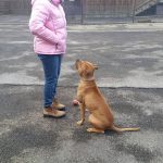 Hugovi se zhroutil svět a znovu našel důvěru. Najde i opravdového parťáka?