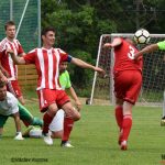 Domácí se po dobrém výkonu loučili s třetí ligou prohrou