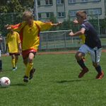 Prvenství z Noimak Cupu přípravek putovala na západ Čech