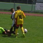 Prvenství z Noimak Cupu přípravek putovala na západ Čech