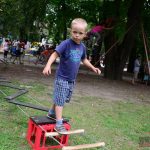 V Palackého sadech vyrostl lanový park