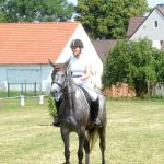 Jezdectví: Na zeď vítězů v Mažicích připíšou Davida Zahrádku