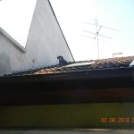 Štěně vylezlo na střechu, pomoct museli hasiči