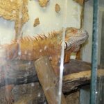 Rybářské muzeum ve Vodňanech nabízí pohled do historie rybolovu i pod vodní hladinu
