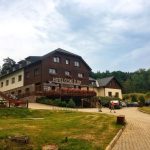Jihočeská kuchařka na cestách: Šumavská ochutnávka dobrot z hub, borůvek i zvěřiny
