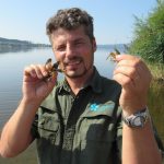 Invazivní rak pruhovaný vážně ohrožuje Lipensko, přenáší račí mor