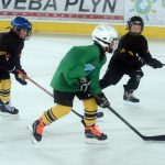 Mladí hokejisté HC Milevsko 2010 se pilně připravují na novou sezonu