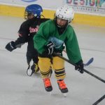 Mladí hokejisté HC Milevsko 2010 se pilně připravují na novou sezonu