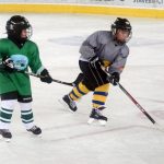 Mladí hokejisté HC Milevsko 2010 se pilně připravují na novou sezonu