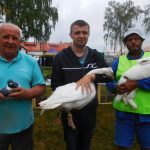 Školní statek v táborských Měšicích zaplnilo přes 700 zvířat. V sobotu dorazí Dudlajda