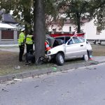 Život spolujezdce vyhasl po nárazu do stromu zřejmě kvůli rychlosti