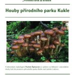Blatské muzeum zve na Talíř, ptačí festival i houby