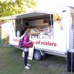 V Soběslavi chovatelé vystavují domácí i exotické ptactvo, králíky i kaktusy