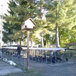 V Soběslavi chovatelé vystavují domácí i exotické ptactvo, králíky i kaktusy