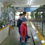 V Soběslavi chovatelé vystavují domácí i exotické ptactvo, králíky i kaktusy