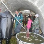 Strakoničtí rybáři slovili Blatský rybník. Staré šupináče vrátili zpět