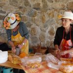 Dýně, kam se podíváš