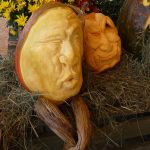 Dýně, kam se podíváš