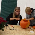 Dýně, kam se podíváš