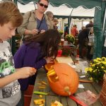 Dýně, kam se podíváš