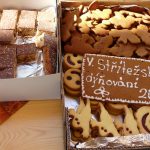 Dýně, kam se podíváš