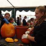 Dýně, kam se podíváš