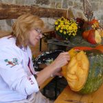 Dýně, kam se podíváš