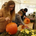 Dýně, kam se podíváš