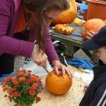 Dýně, kam se podíváš