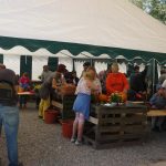 Dýně, kam se podíváš