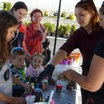 Dýně, kam se podíváš