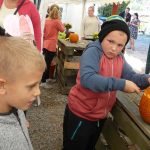 Dýně, kam se podíváš