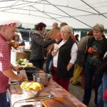 Dýně, kam se podíváš