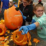 Dýně, kam se podíváš