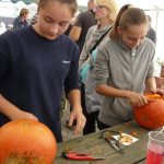 Dýně, kam se podíváš