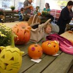 Dýně, kam se podíváš